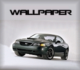 wallpaper_icon.gif